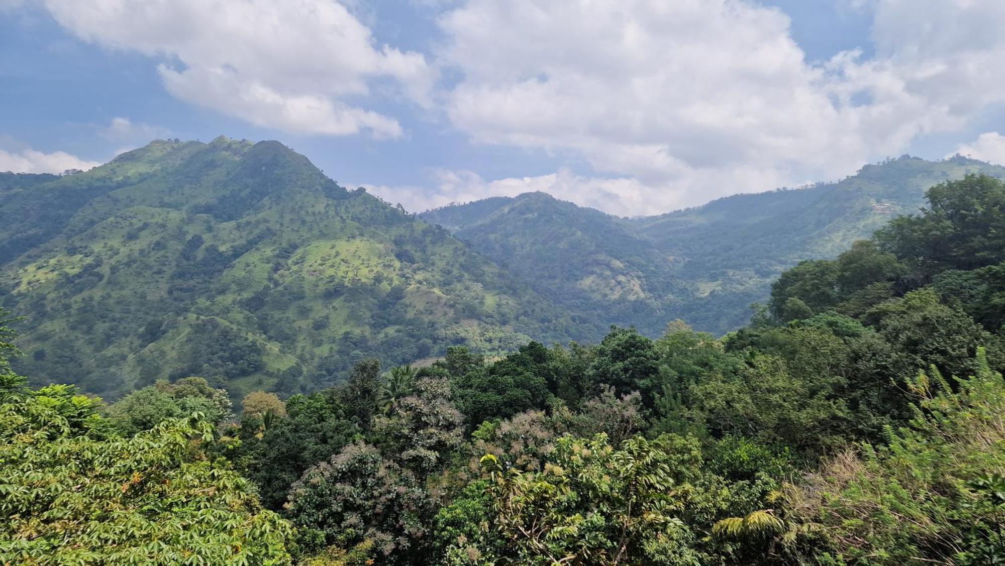 Ella Wild Waterfall Inn 外观 照片